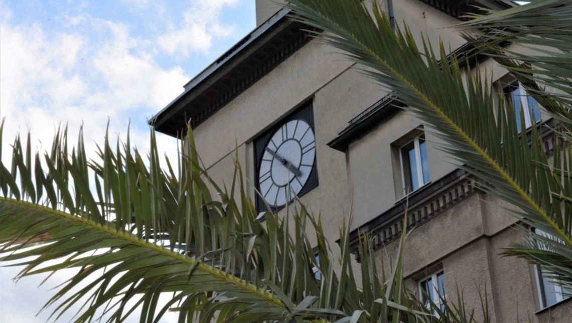 Na chorzowskim rynku odbędzie się zlot food trucków Na chorzowskim rynku odbędzie się zlot food trucków