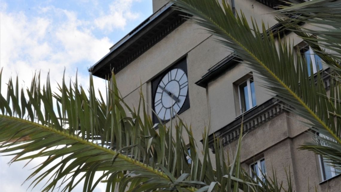 Na rynku w Chorzowie jak na Kubie Na rynku w Chorzowie jak na Kubie