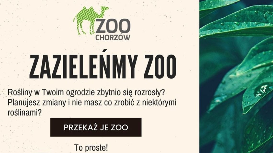 Nie wiesz co zrobić z niepotrzebnymi roślinami? Dołącz do akcji "Zazieleńmy zoo"!