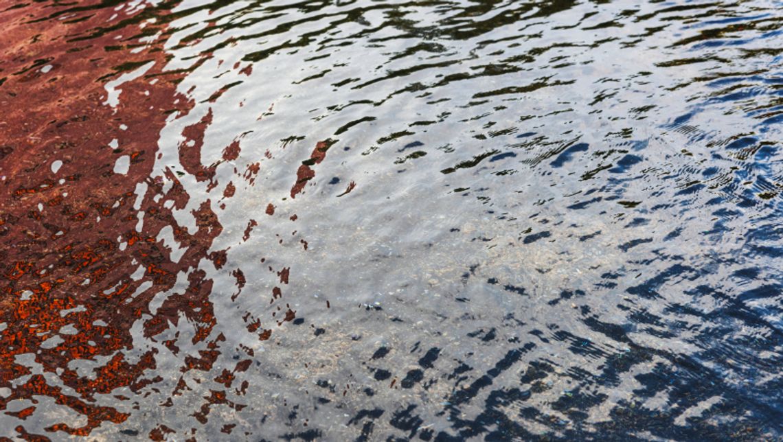 Nietrzeźwi płynęli łodzią w Parku Śląskim