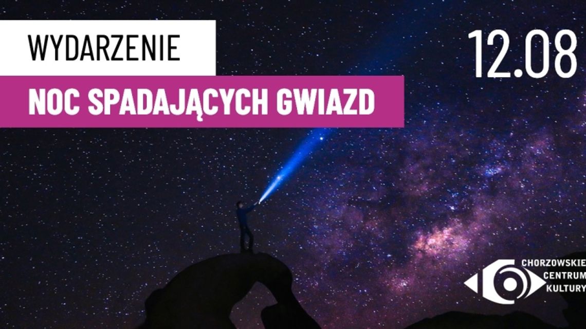 Noc Perseidów w Parku Śląskim