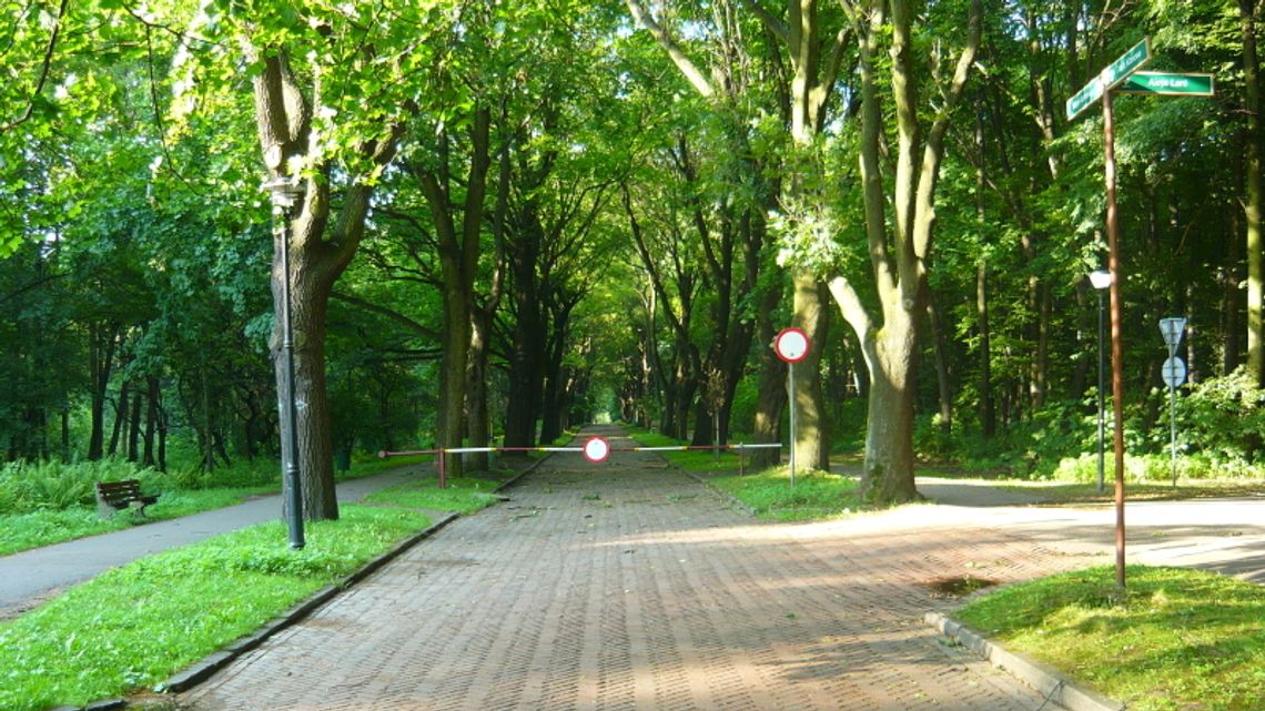 O Parku Śląskim przy Okrągłym Stole O Parku Śląskim przy Okrągłym Stole