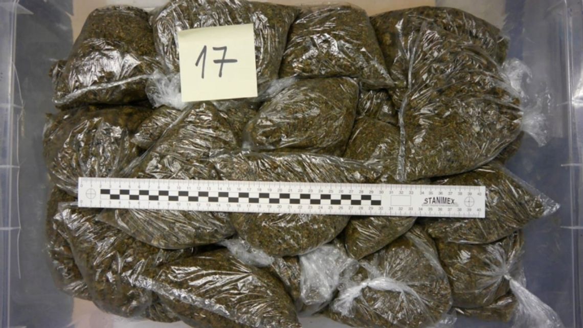 Ogromne uderzenie w nakrobiznes