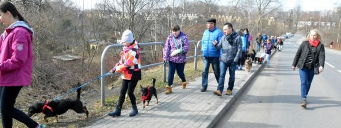 Parada kundelków w Chorzowie za nami [WIDEO+ZDJĘCIA]