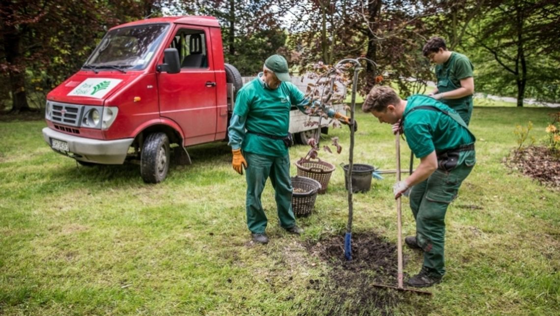 Park jeszcze bardziej naturalny Park jeszcze bardziej naturalny