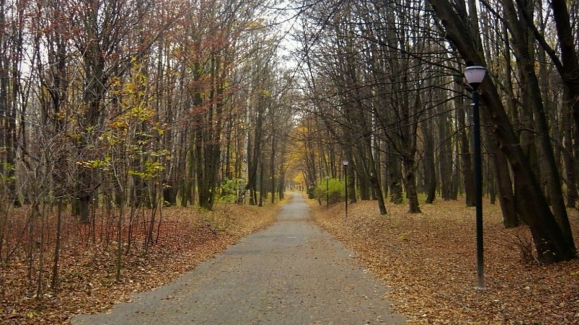 Park Śląski będzie mieć kolejnego prezesa