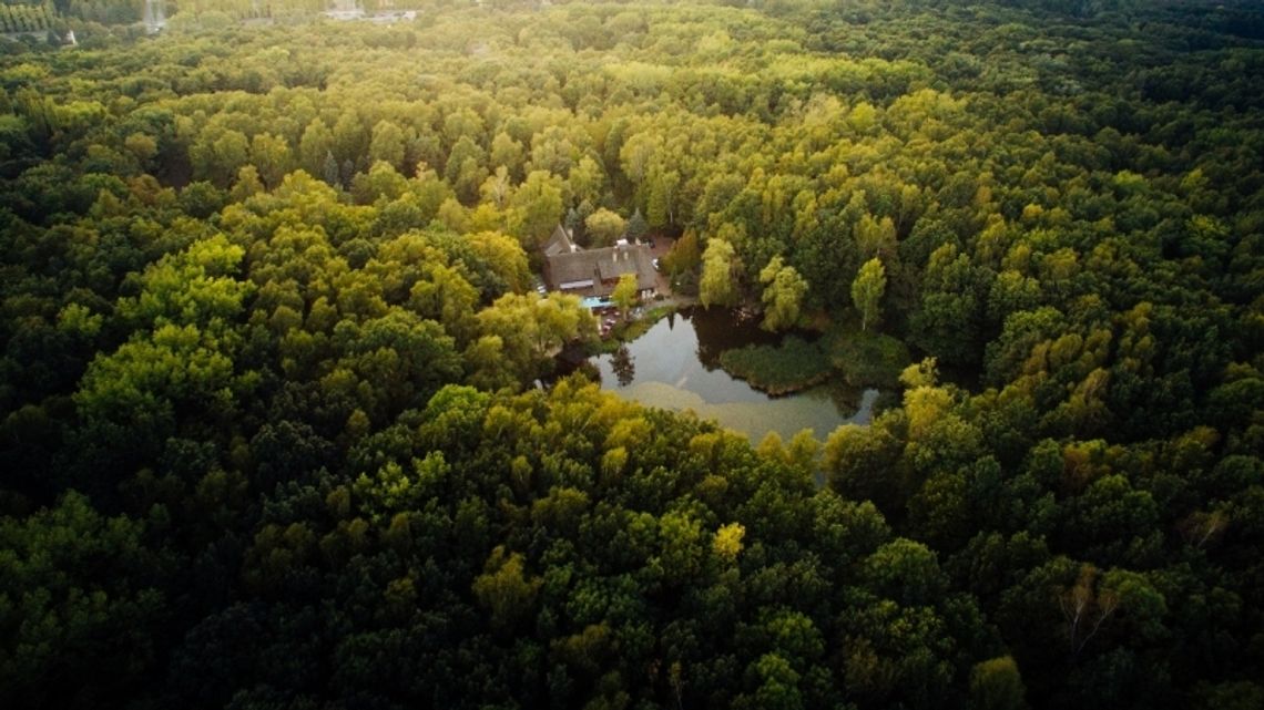 Park Śląski dementuje informację o tworzeniu osi widokowych Park Śląski dementuje informację o tworzeniu osi widokowych