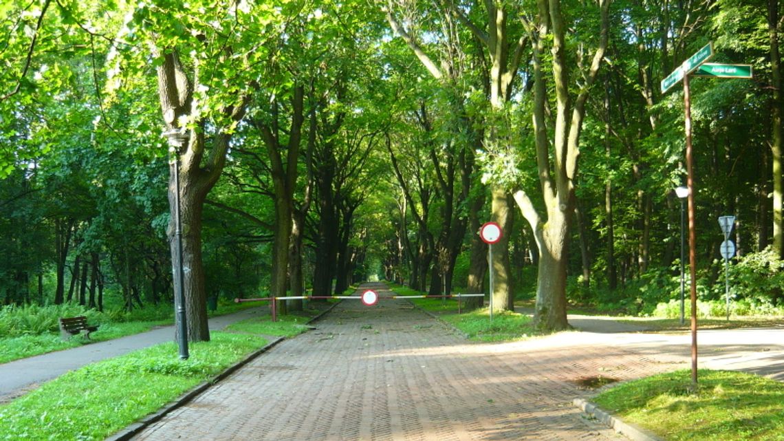 Park Śląski stał się elementem gry politycznej. Jaka czeka go przyszłość? Park Śląski stał się elementem gry politycznej. Jaka czeka go przyszłość?