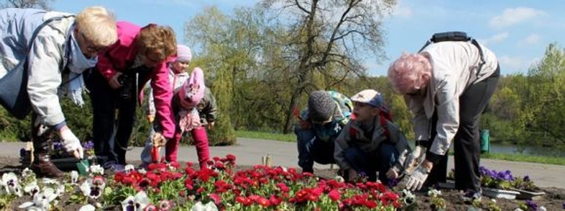 "Park Śląski. Tu się sadzi"