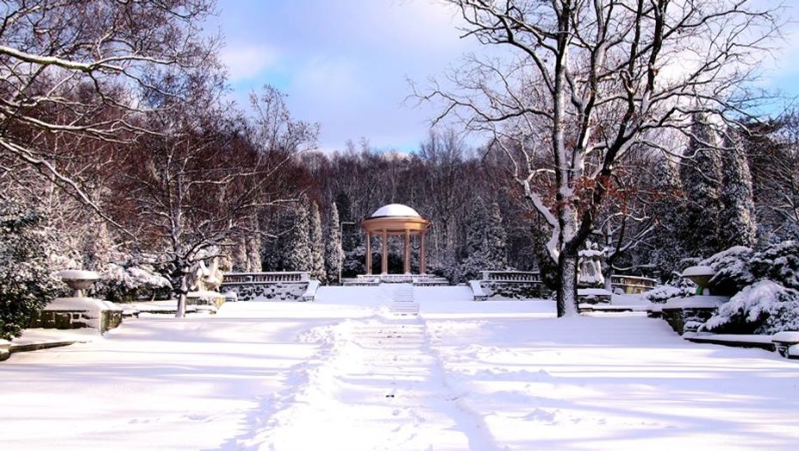 Park Śląski wciąż bez prezesa