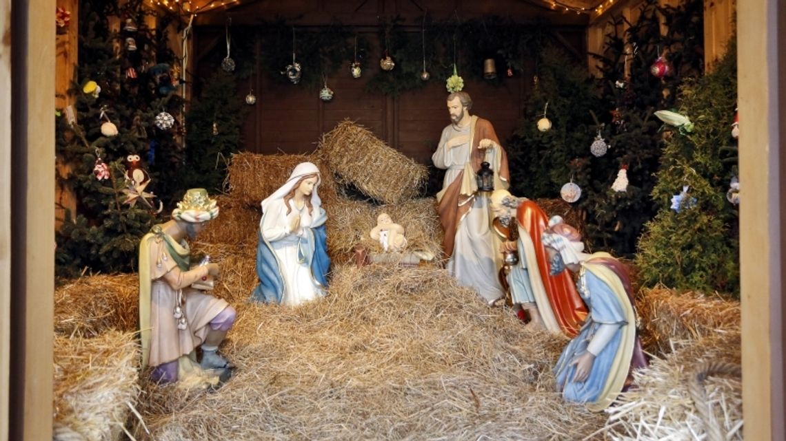 Parkowy przewodnik świąteczny Parkowy przewodnik świąteczny