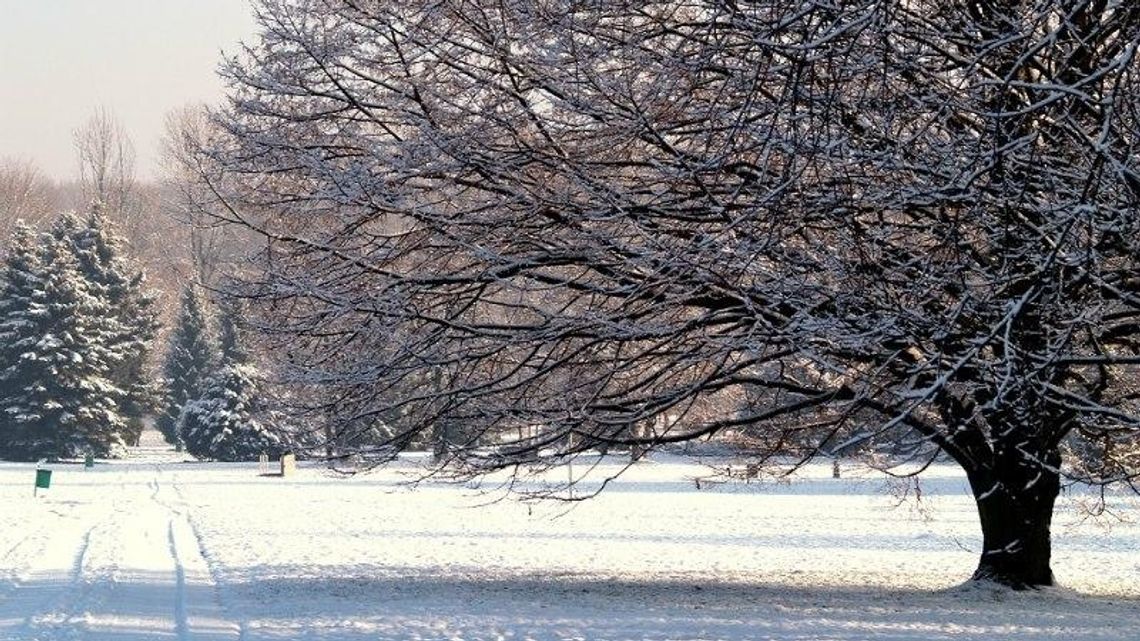Parkowy przewodnik świąteczny