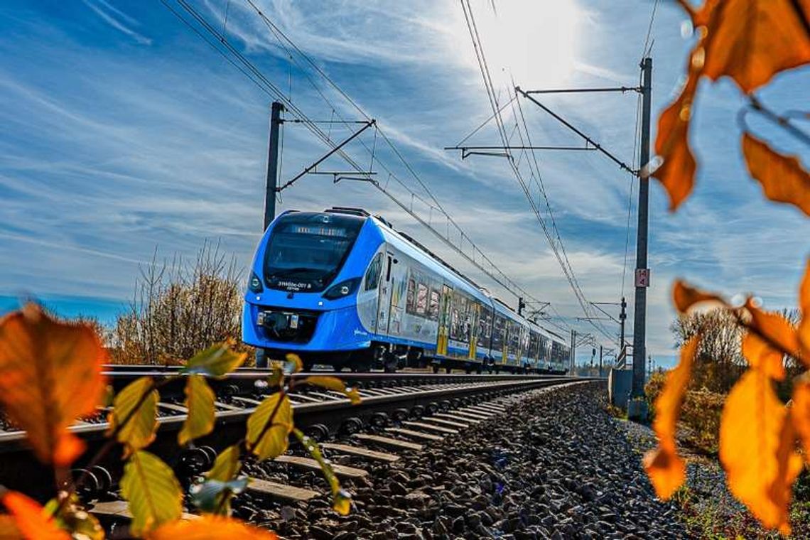 Pasażerowie dybią na rydza Pasażerowie dybią na rydza