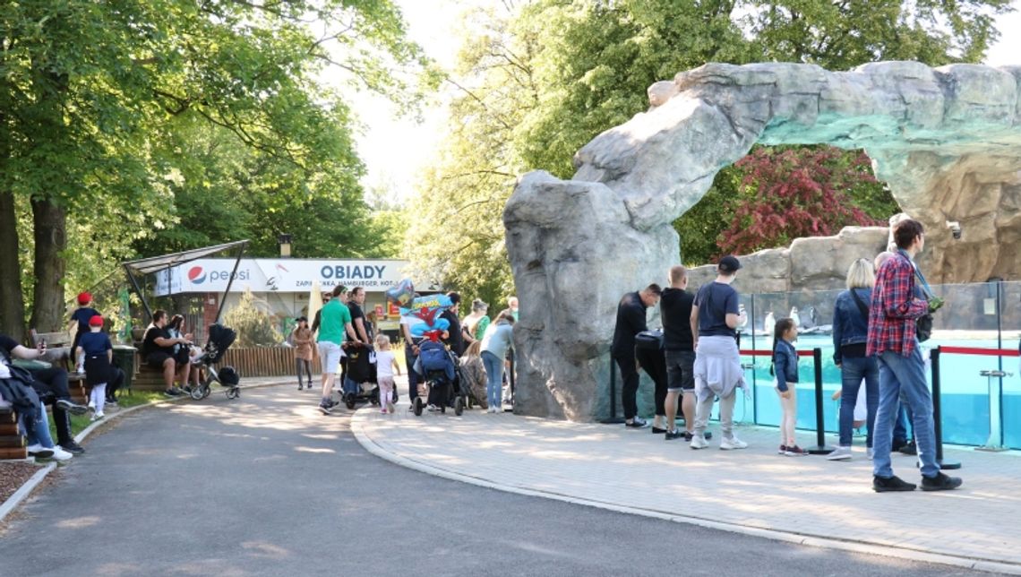 Pawilony w zoo tymczasowo zamknięte... w trosce o zwiedzających Pawilony w zoo tymczasowo zamknięte... w trosce o zwiedzających