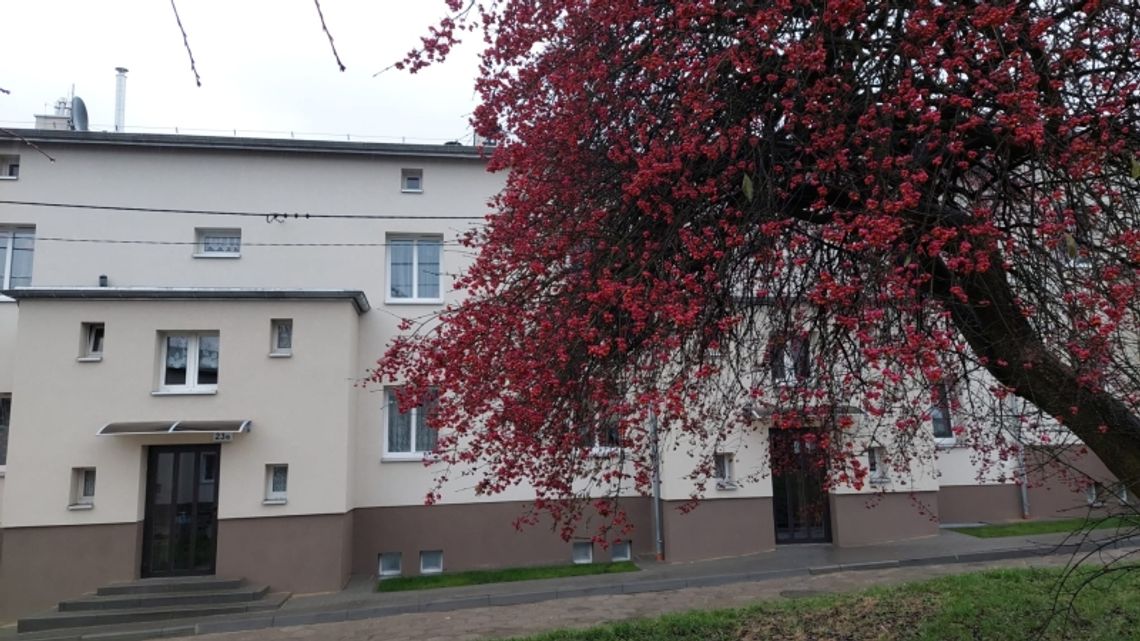 PGM podsumowuje: 2021 rok w liczbach