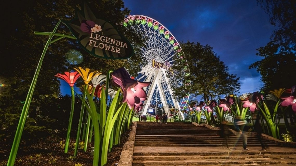 Pierwsze urodziny Lecha!