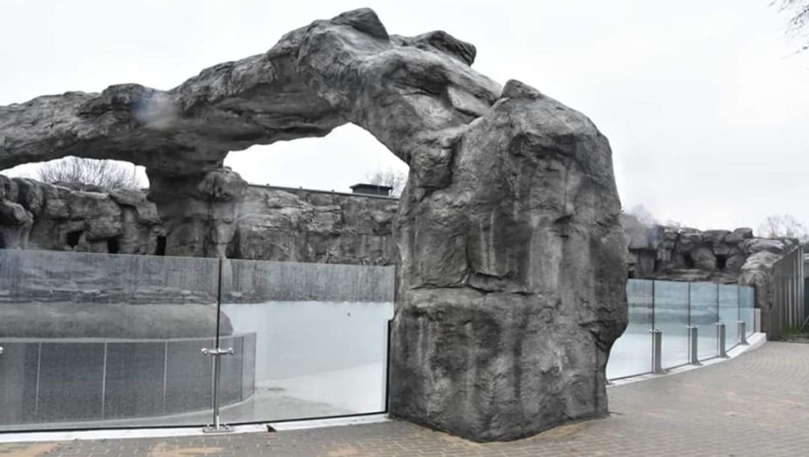 Pingwiny ponownie zamieszkają w chorzowskim zoo