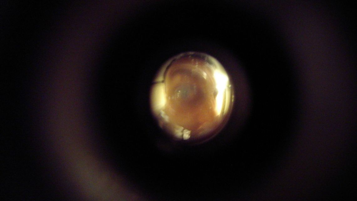 Podał się za pracownika administracji