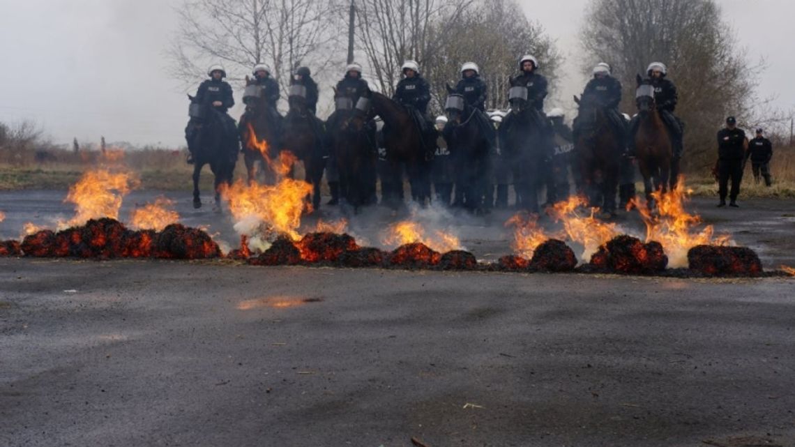 Pokaz policji konnej