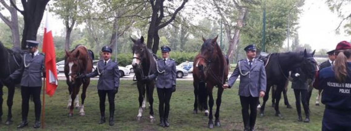 Policja konna ćwiczyła na Węgrzech [ZDJĘCIA]