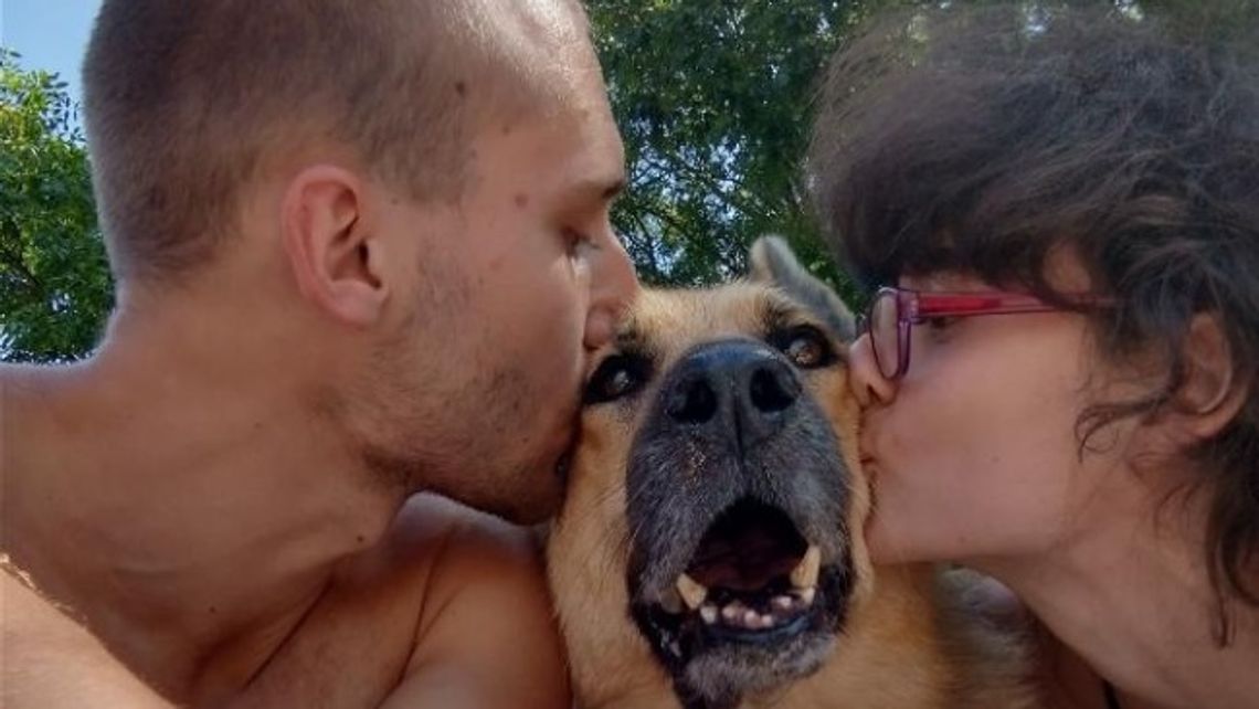 Pomóżmy pokrzywdzonej Tosi Pomóżmy pokrzywdzonej Tosi