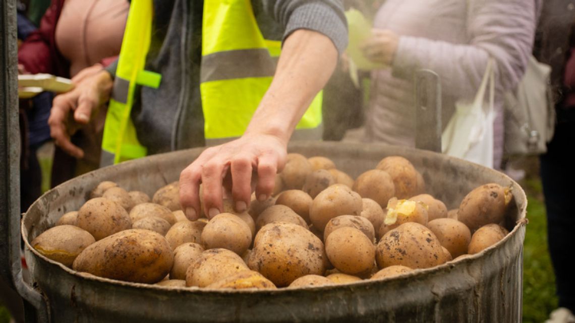 Pora na wykopki! Przed nami Dzień Kartofla w chorzowskim Skansenie