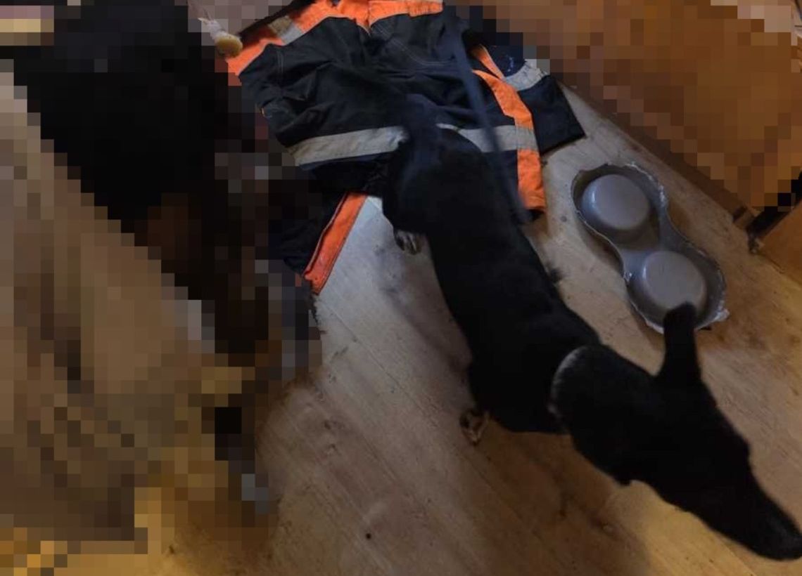 Porzucony i głodny pies czekał na pomoc. 22-latek ze Świętochłowic odpowie za znęcanie się nad zwierzęciem