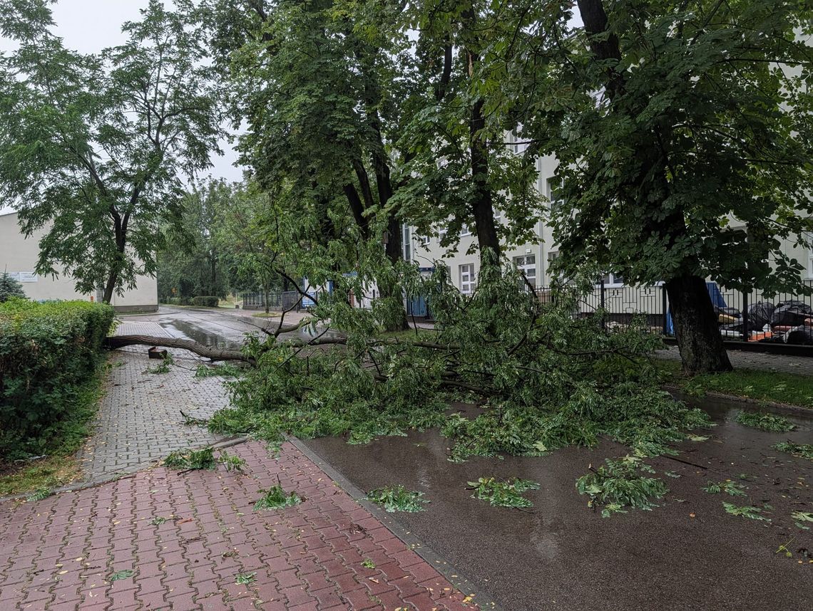 Powalone drzewa, zalane ulice. Nawałnica przeszła przez Chorzów [ZDJĘCIA]