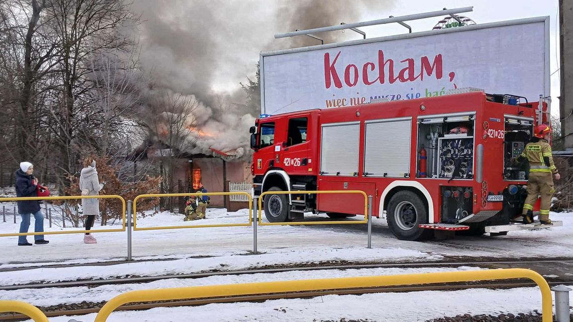 Pożar dawnego pubu w Parku Śląskim