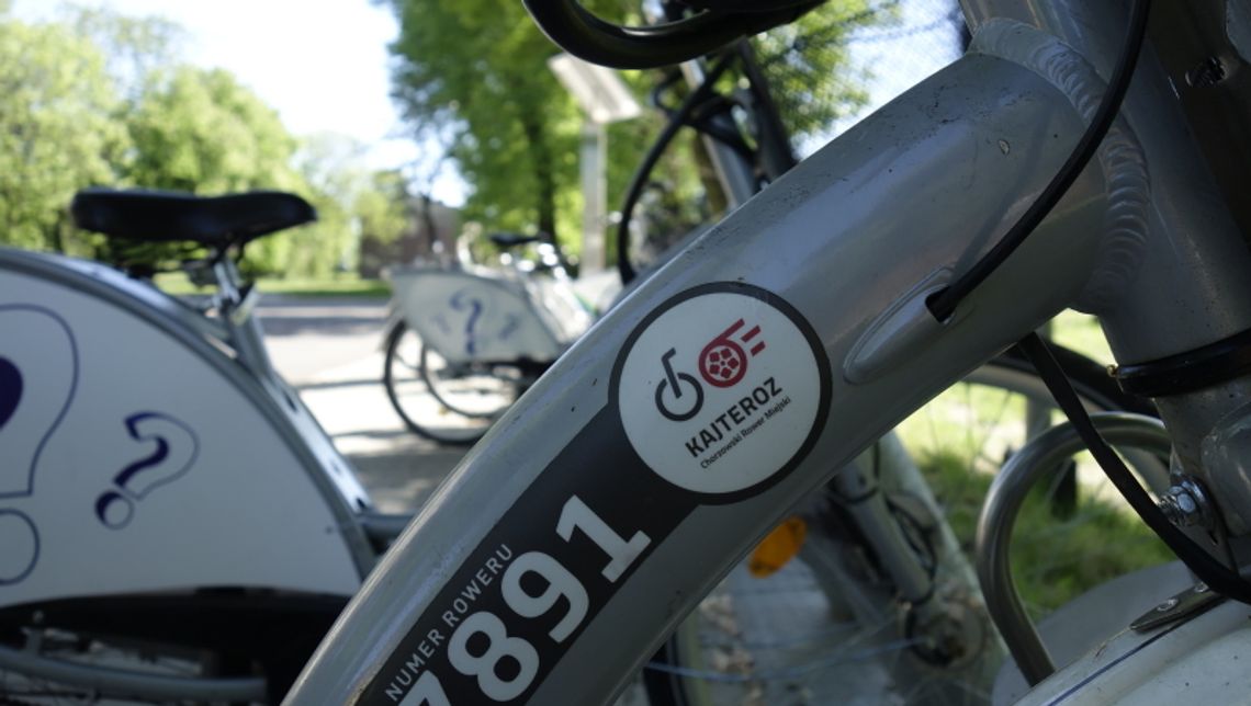 Prawie 43 tys. wypożyczeń roweru miejskiego Prawie 43 tys. wypożyczeń roweru miejskiego