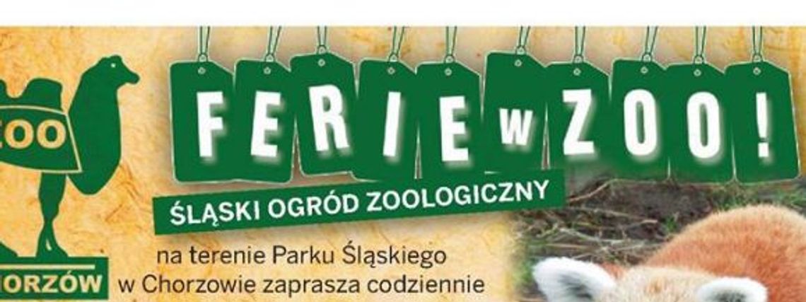 Promocyjne bilety w zoo na ferie