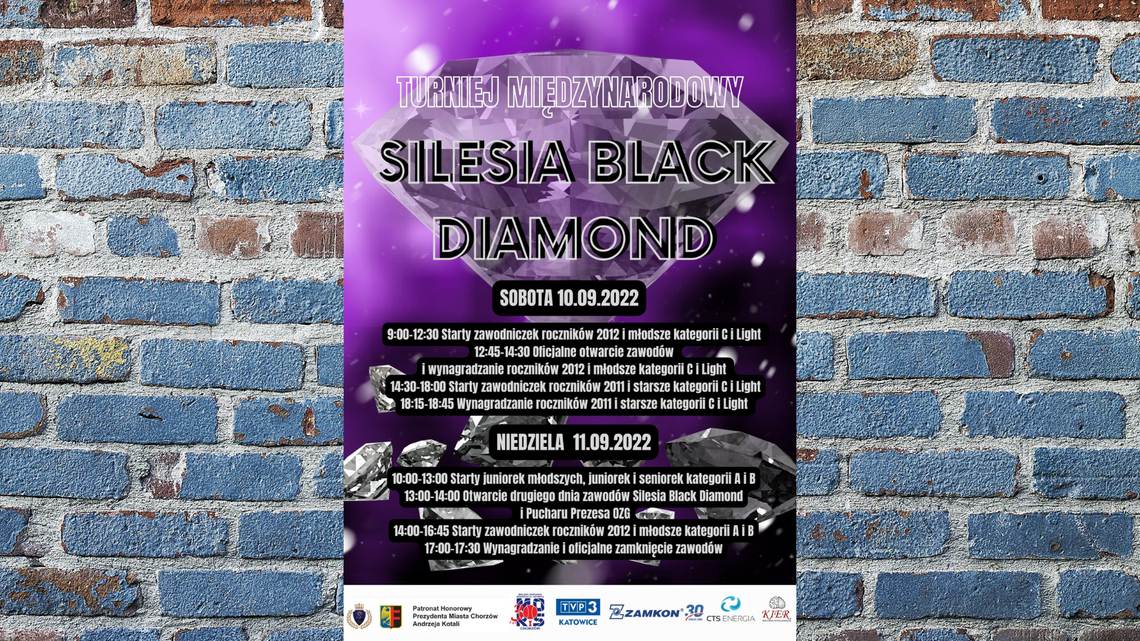 Przed nami IV Międzynarodowy Turniej Silesia Black Diamond w gimnastyce artystycznej