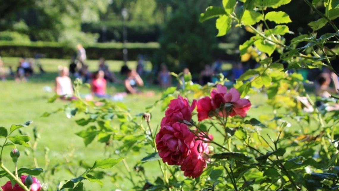 Przed nami ostatnie śniadanie na trawie