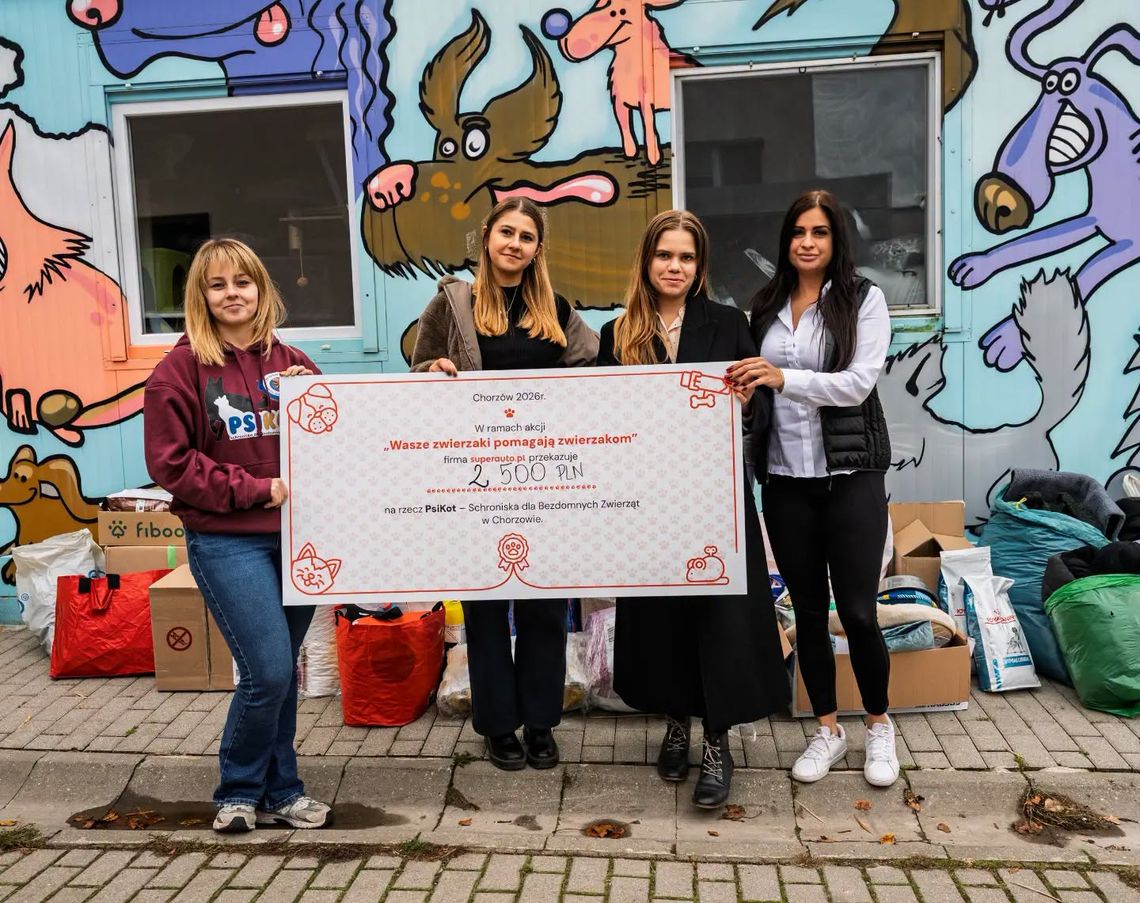PsiKot potrzebuje wsparcia przed zimą. Jak pomóc schronisku w Chorzowie? Cztery kobiety trzymają czek na 2500 zł przed budynkiem schroniska PsiKot; obok stoją przekazane dary