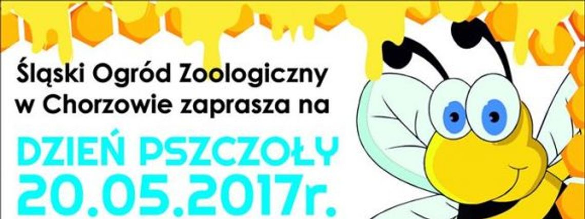 Pszczoły atakują!