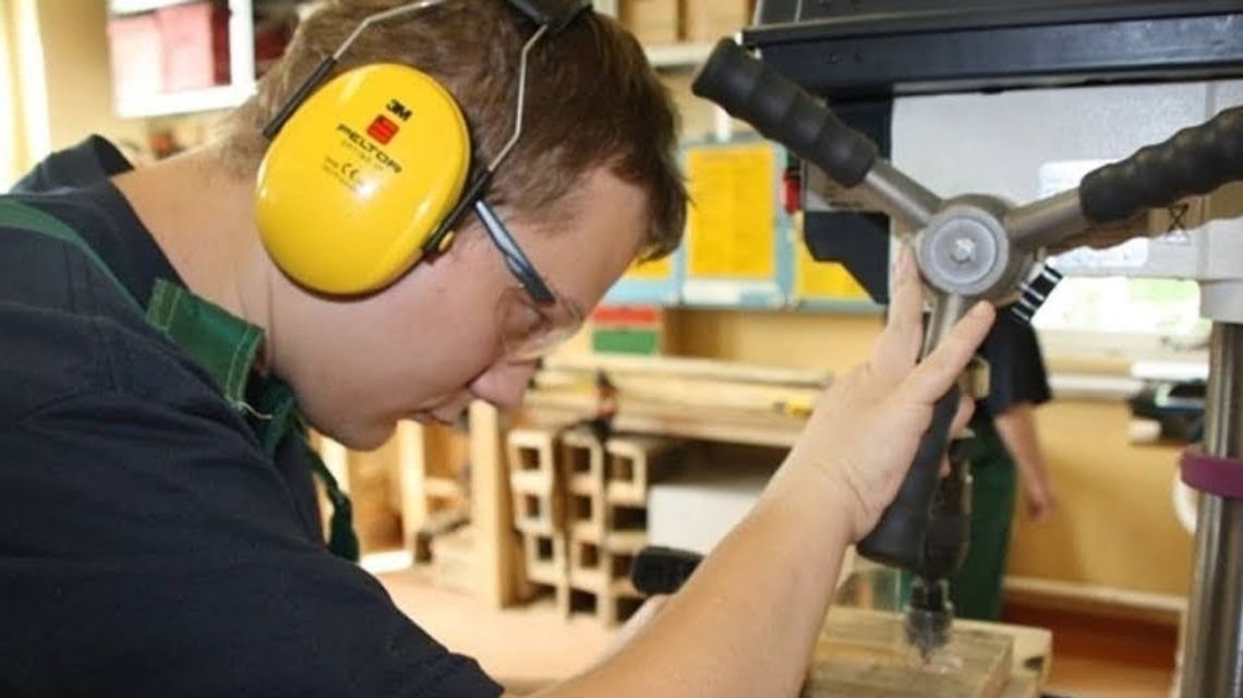 Ptasie familoki wykonane przez wyjątkowych stolarzy