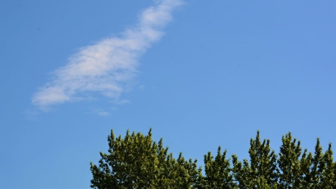 Radni zaapelują do rządu