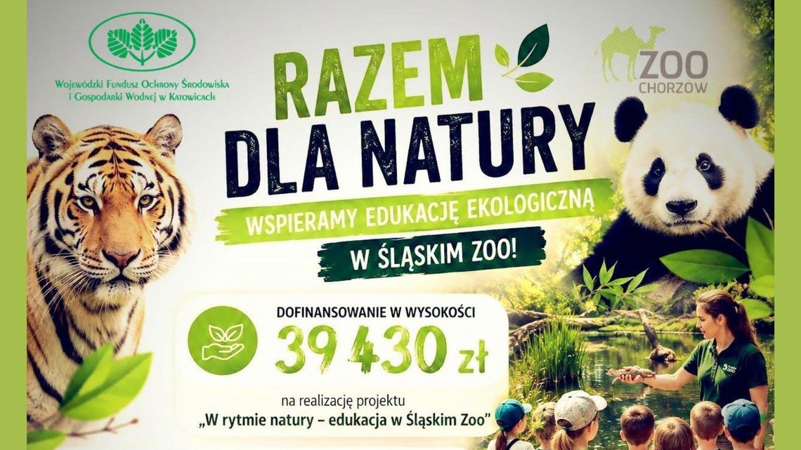 Razem dla natury! W chorzowskim zoo rusza wyjątkowy projekt Razem dla natury! W chorzowskim zoo rusza wyjątkowy projekt