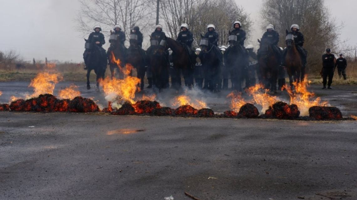 Rekrutacja do Policji Konnej