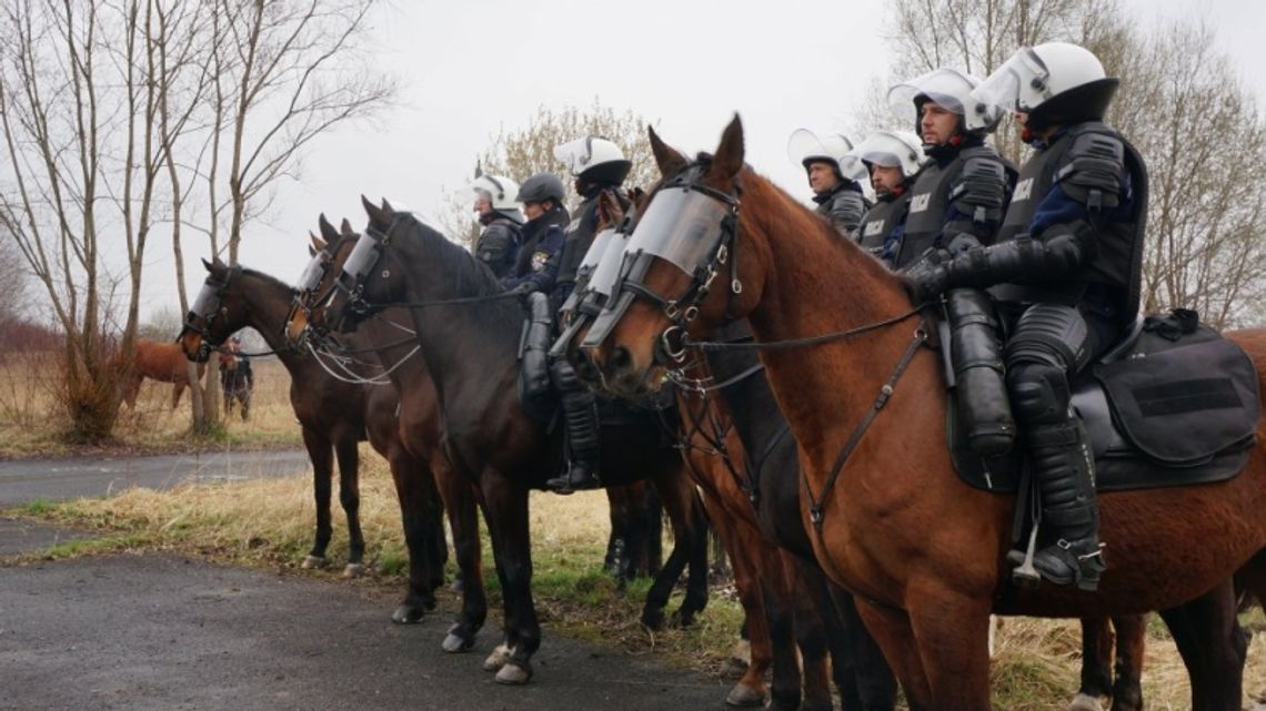 Rekrutacja do policji konnej