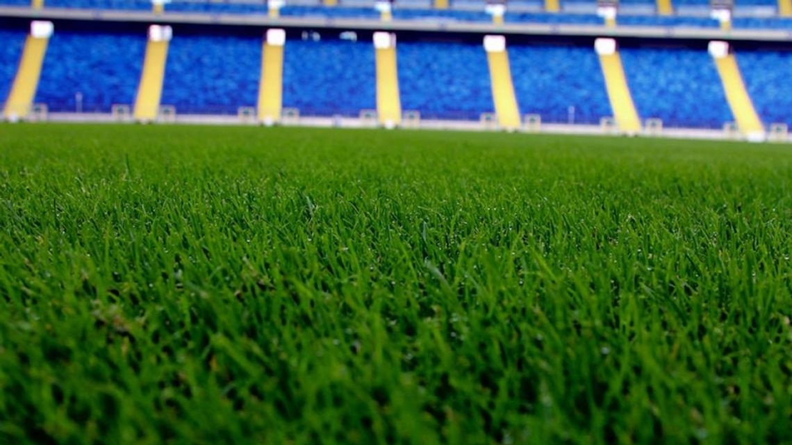 Rodzinny piknik na Śląskim