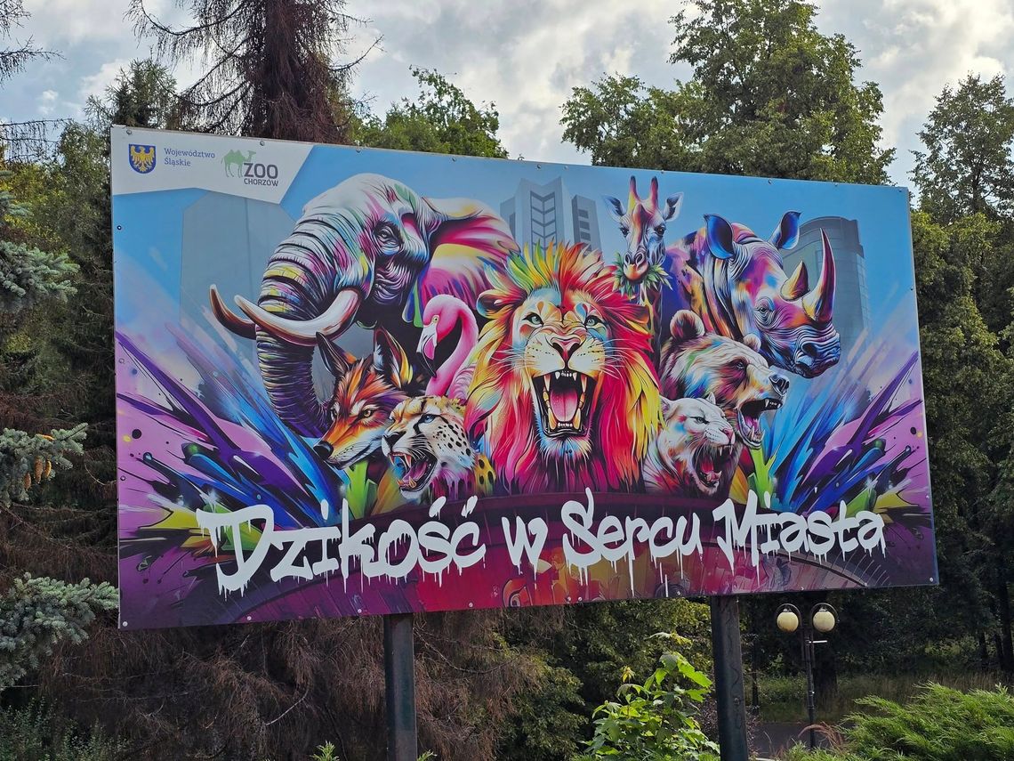 Ruszyła kampania „Dzikość w Sercu Miasta”!