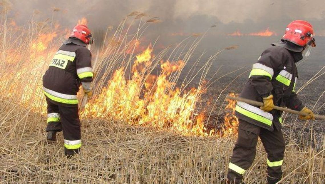 Ruszyła kampania "Stop pożarom traw!" Ruszyła kampania "Stop pożarom traw!"