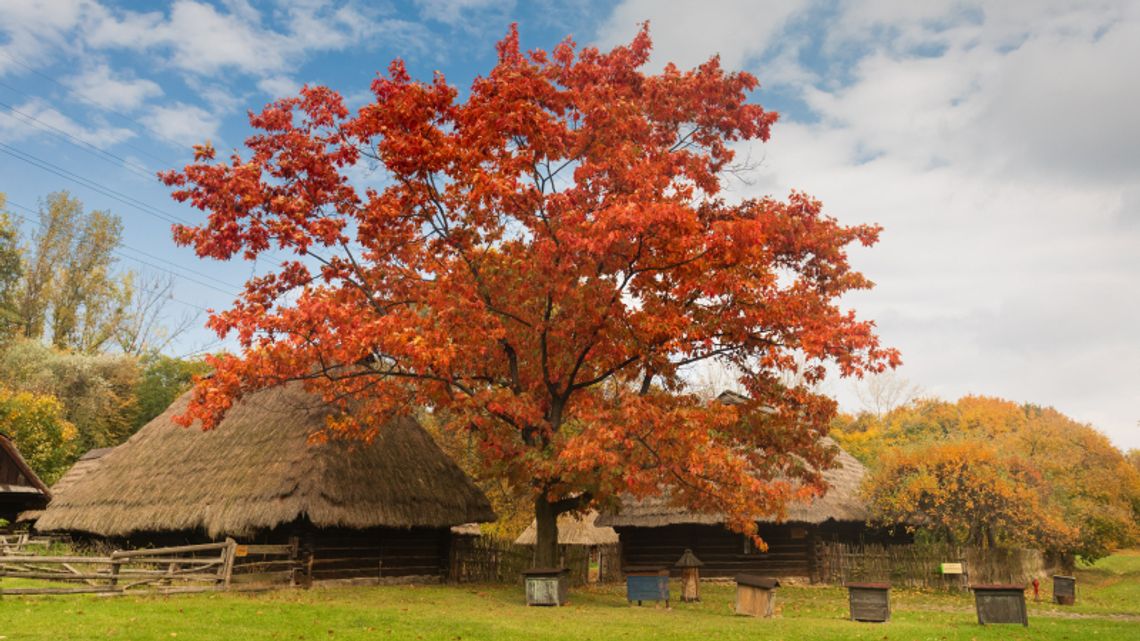 Skansen otrzymał środki na renowację obiektów Skansen otrzymał środki na renowację obiektów