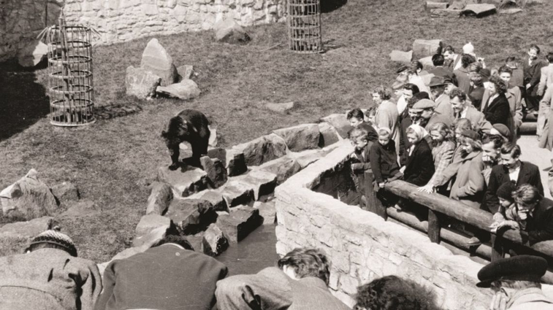 Śląski Ogród Zoologiczny ma 60 lat!