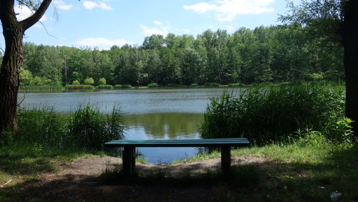 Śląskie wesprze turystykę Śląskie wesprze turystykę