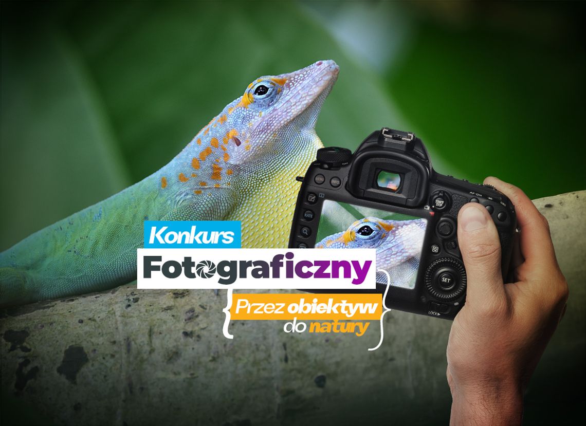 Śląskie ZOO zachęca do uchwycenia natury w kadrze! Wystartował konkurs „Przez Obiektyw do Natury” Śląskie ZOO zachęca do uchwycenia natury w kadrze! Wystartował konkurs „Przez Obiektyw do Natury”