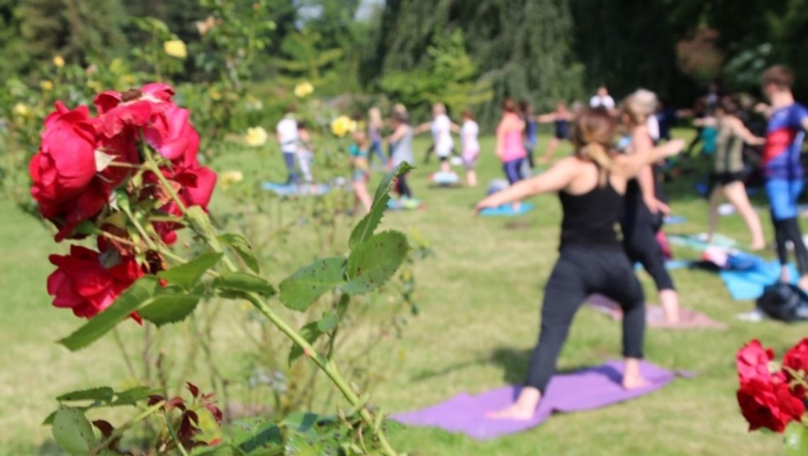 Śniadanie nareszcie wróciło do ogrodu różanego