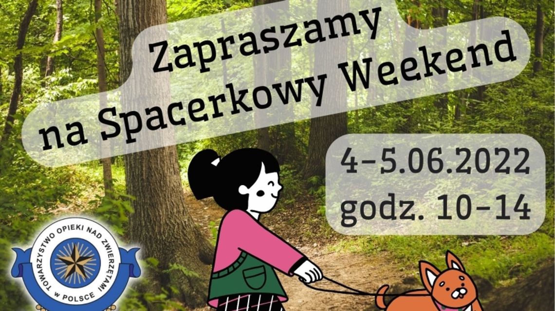 "Spacerkowy Weekend" w chorzowskim schronisku "Spacerkowy Weekend" w chorzowskim schronisku