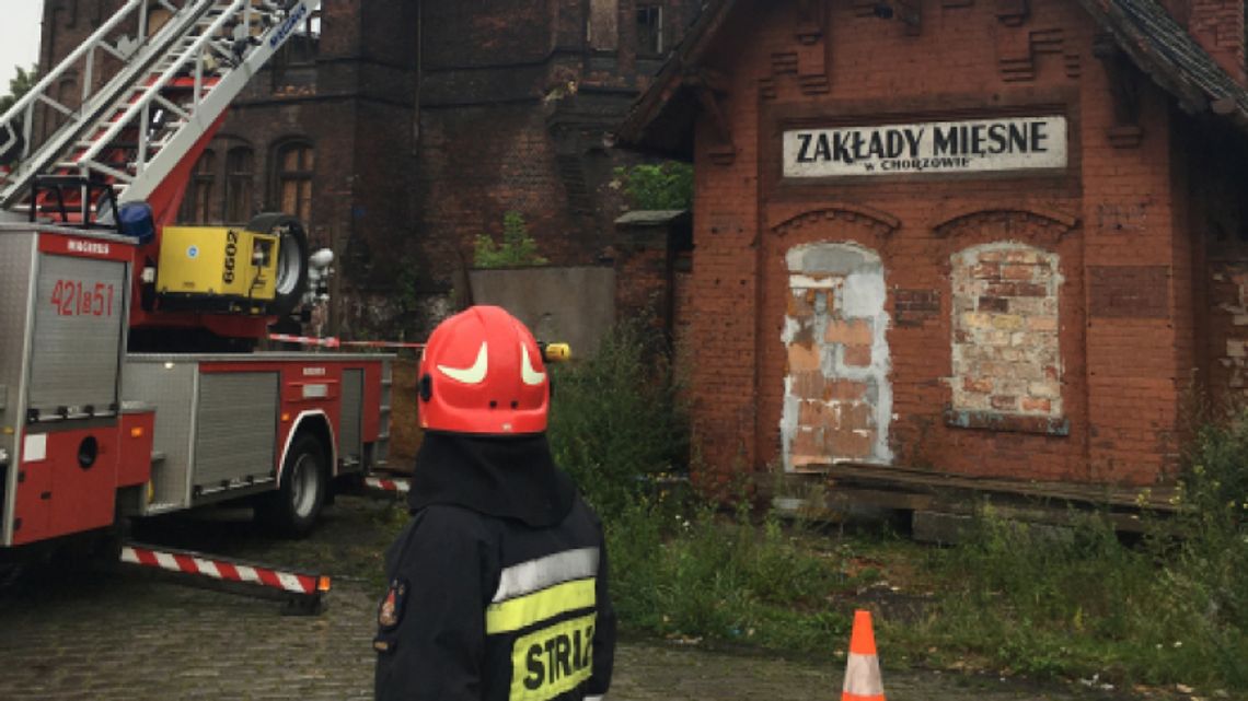 Sprawa rzeźni trafiła do prokuratury
